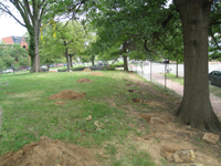 Grounds - South Side Looking East, Showing Fence Footings - July 27, 2010