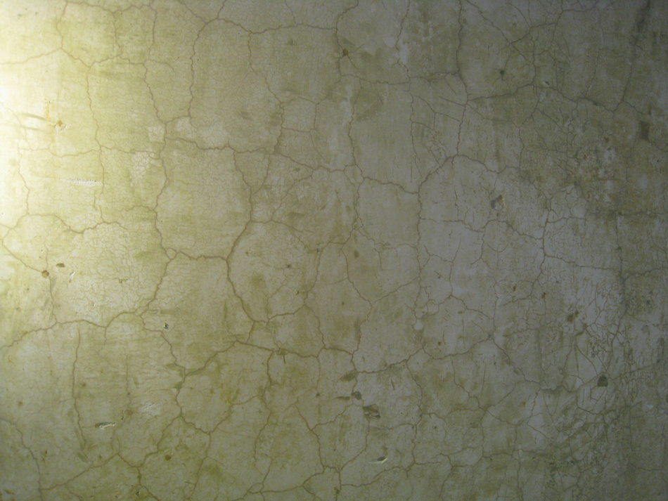 Second Floor - Middle Room Plaster Detail (Crackle is Sub-Surface) - August 3, 2010