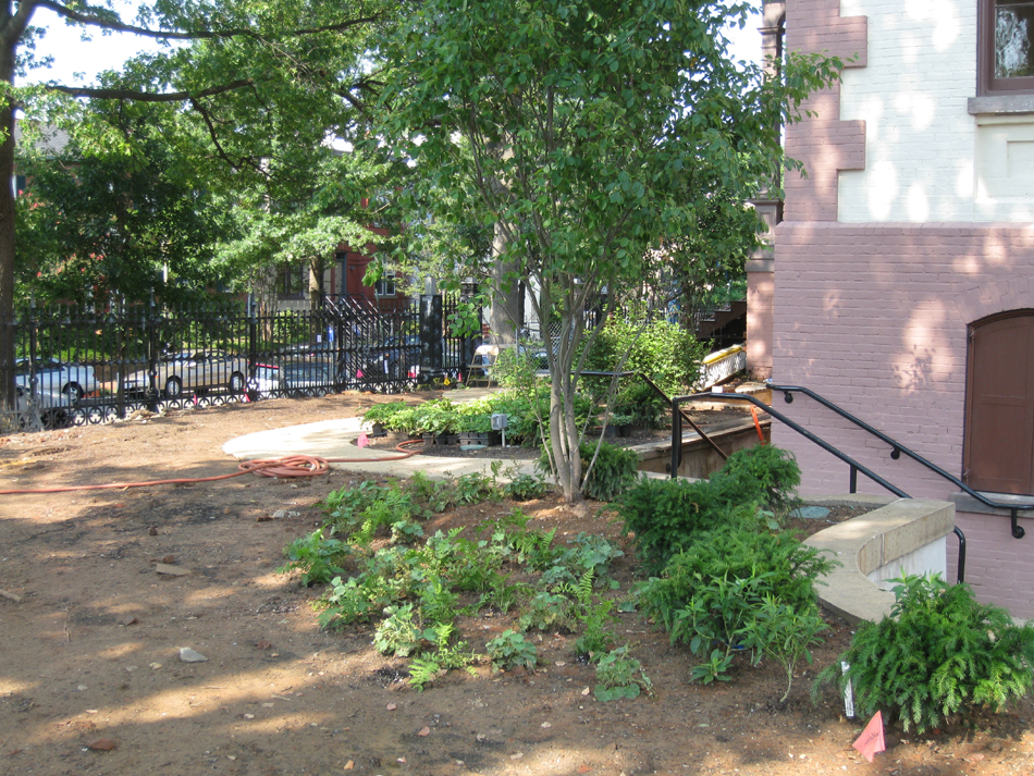 Grounds--Plantings on south east corner of the building - July 9, 2011
